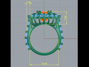 116 Female ring 3D Print Model