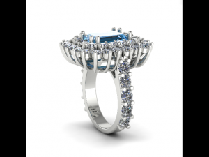 116 Female ring 3Dプリントモデル