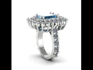 116 Female ring 3D Print Model