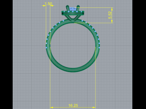 119 Ring 3D Print Model