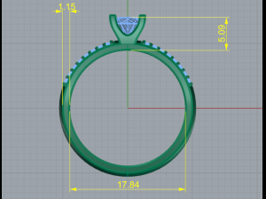 121Ring 3D 打印模型