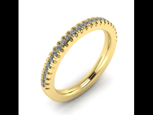 137 Ring 3D Druckmodell