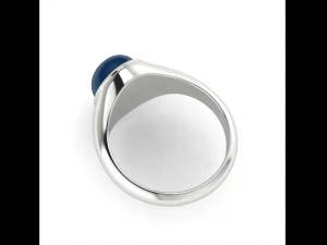 145 Ring two sizes together 3D Print Model