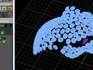 147 Ring panthere 3D Print Model