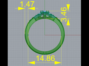 155 Beautiful womens ring with the look of a leaf 3D 打印模型