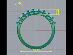 170 Ring 3D Print Model
