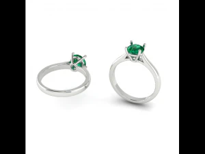 171 女士结婚戒指 3D 打印模型