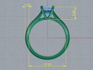 171 Wedding ring for women 3Dプリントモデル