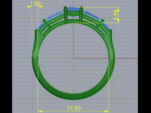 173 Ring 3D Print Model