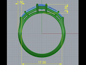 173 Ring 3D Print Model