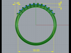 176 Ring 3D 프린트 모델