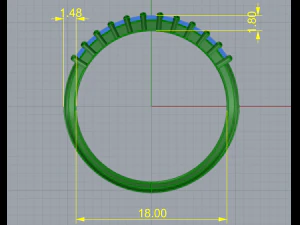 176 Ring 3D Print Model