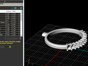 176 Ring 3D Print Model