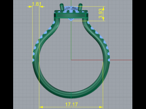 179 Ring for women 3D Print Model