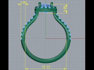 179 Ring for women 3D Print Model