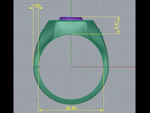 182 Ring for men 3D Print Model