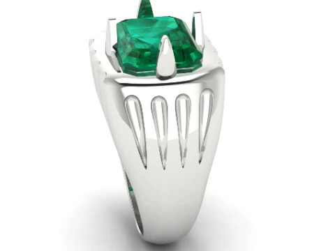 221 Ring 3D Print Model