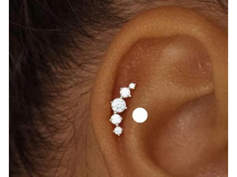 240 Ozdoba do uszu Model do druku 3D