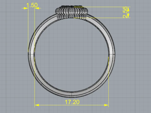 242 Ring for women 3D Print Model
