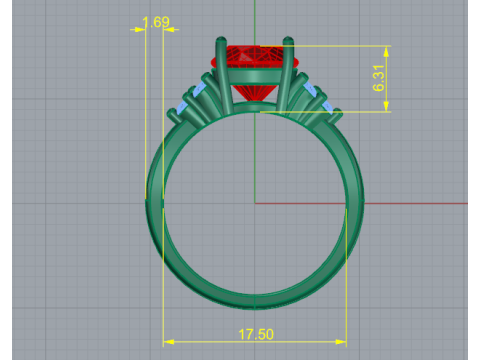 244 Ring for women 3D Print Model