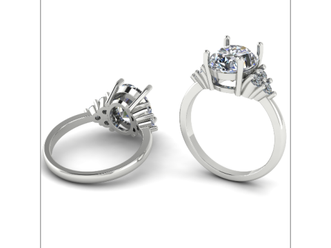 244 Ring for women 3D Print Model