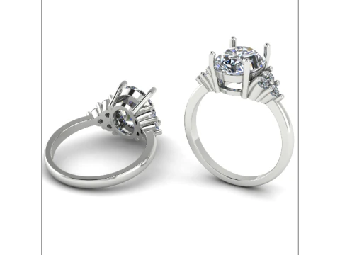 244 Ring for women 3D Print Model