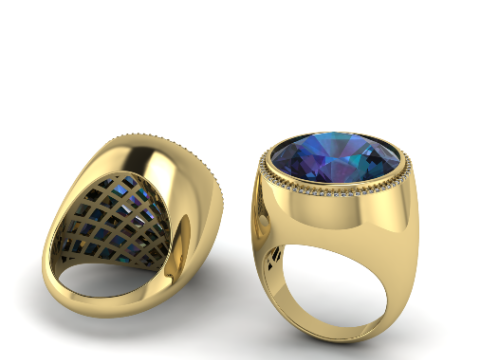256 Ring 3D Print Model