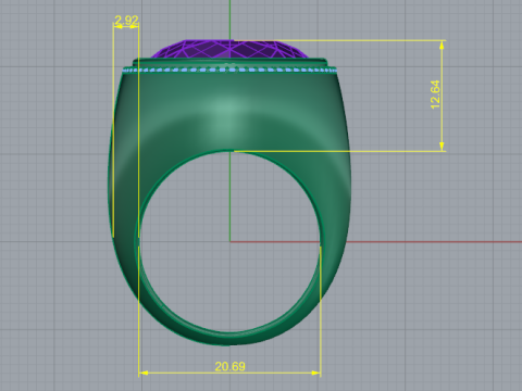 256 Ring 3Dプリントモデル