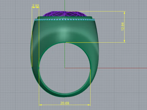 256 Ring 3D Print Model