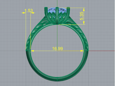 356 Ring 3D Print Model