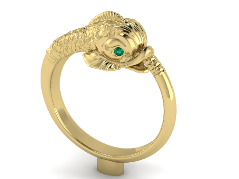 387 Ring Fish 3D Print Model