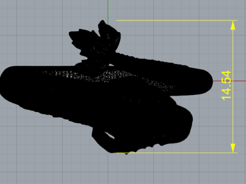 387 Ring Fish 3D Print Model