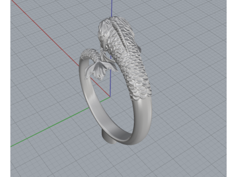 387 Ring Fish 3D Print Model