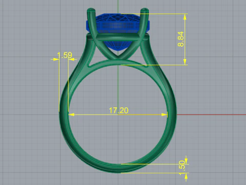 394 Ring 3D Print Model