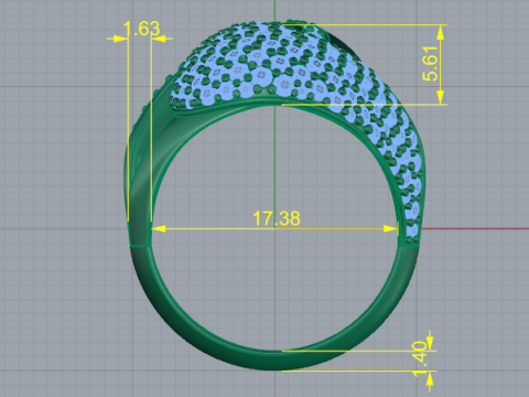 Ring 3Dプリントモデル