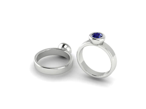 455 ring 3D Print Model