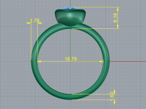 455 ring 3D Print Model