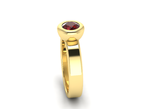 455 ring 3D Print Model