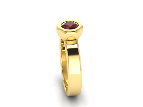 455 ring 3D Print Model