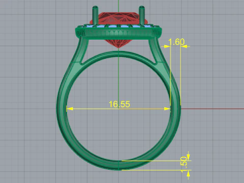 669 ring 3D Print Model