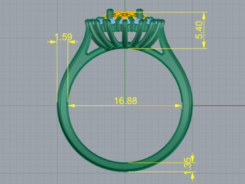 676 Ring 3D Print Model