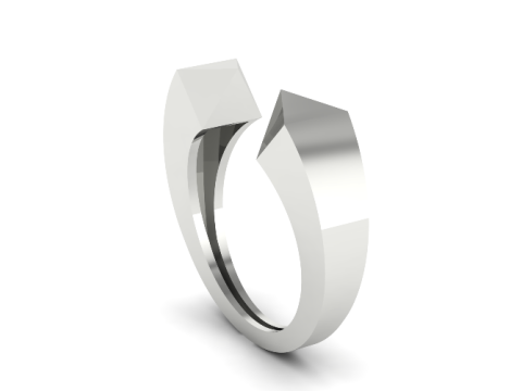 683 Ring 3D 프린트 모델