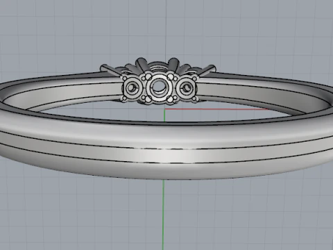 685 Ring 3D Print Model