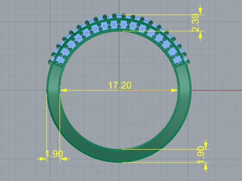 695 Ring 3D Print Model