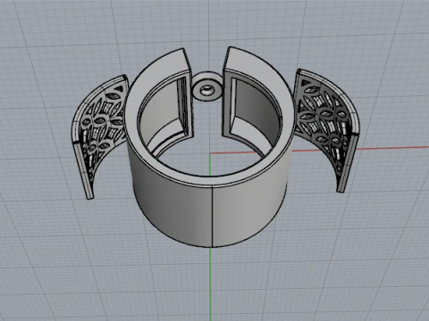 696 Ring 3D Print Model