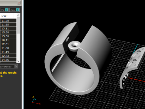 696 Ring 3D Print Model
