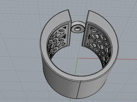 696 Ring 3D Print Model