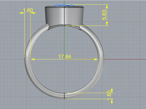 703 Ring 3D Print Model