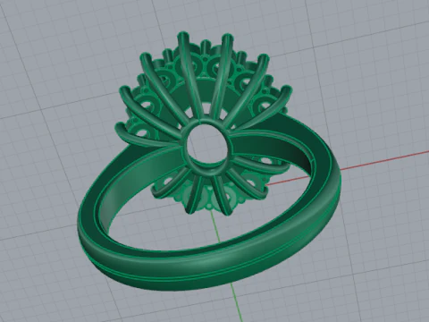 704 Ring 3D Print Model