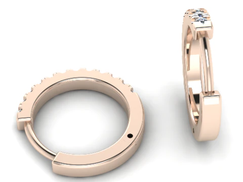 781 Earrings 3D Print Model